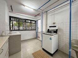 Clementi Avenue 2 Shopping Centre (D5), Shop House #580066331